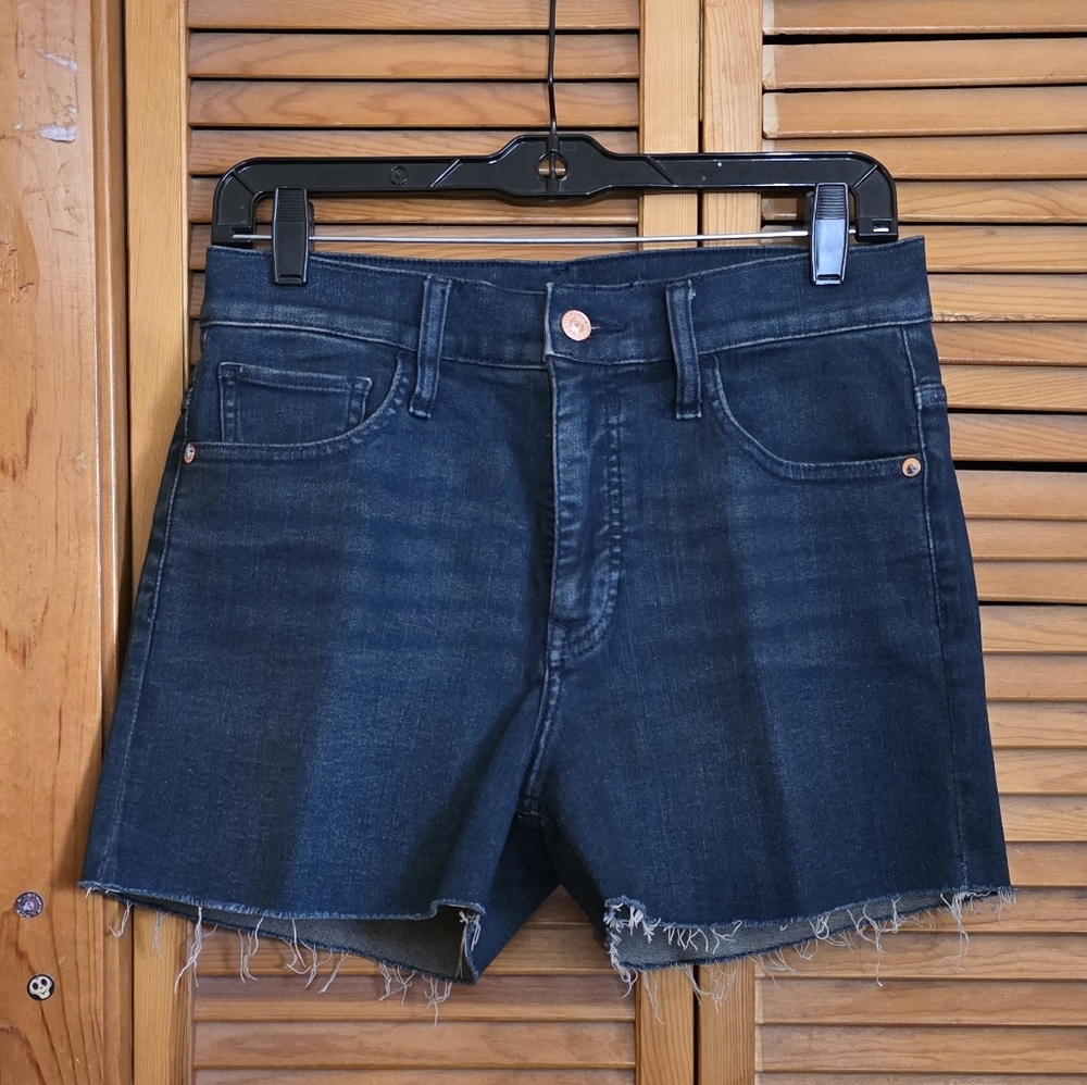 EUC Express Women's Shortie High-Rise Shorts Size 4